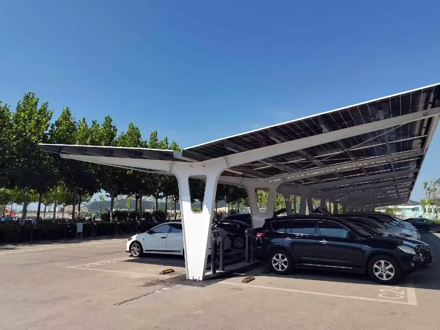 Double-Side T-Frame Carport — XGreen Solar